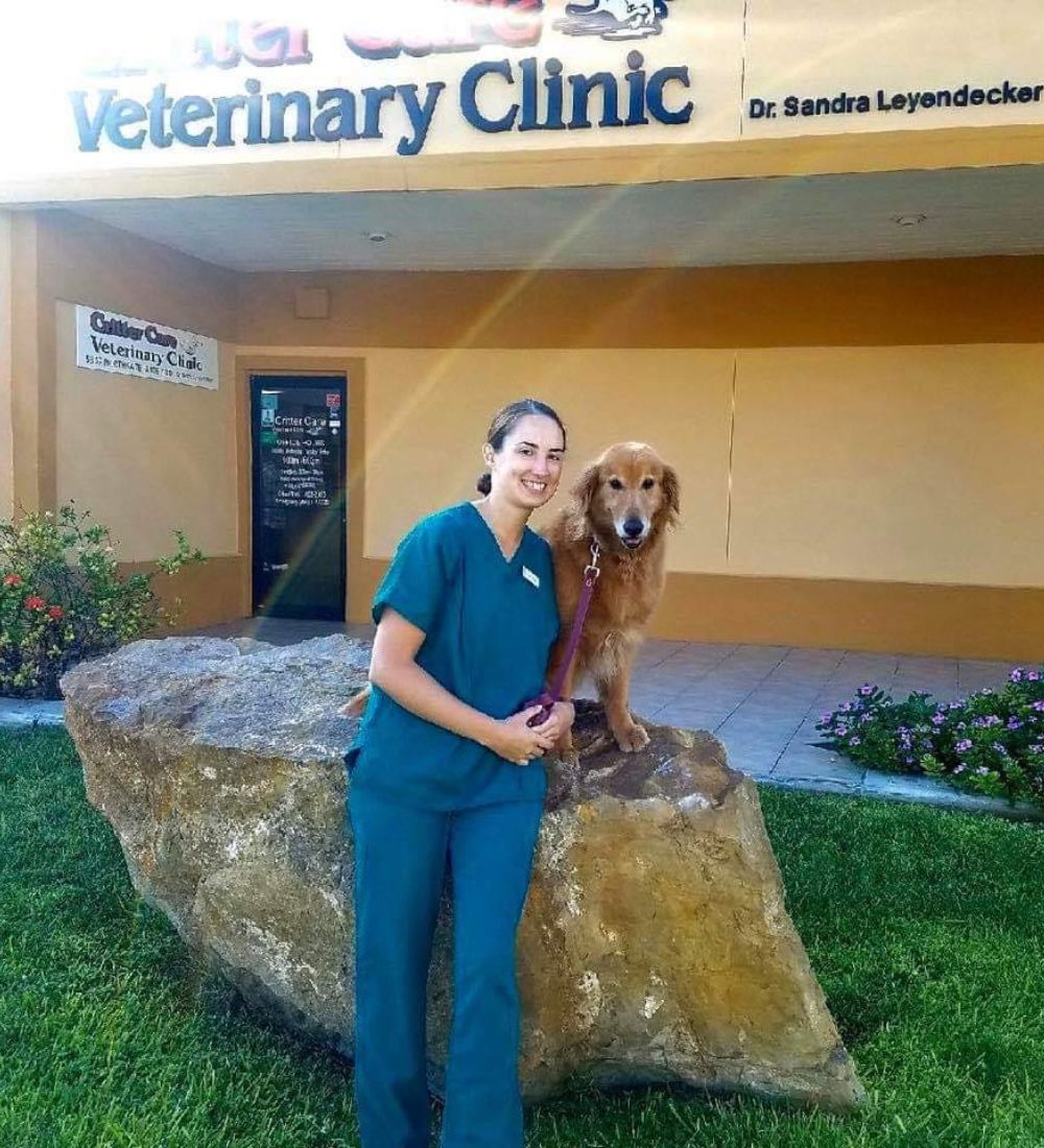 vet with her dog